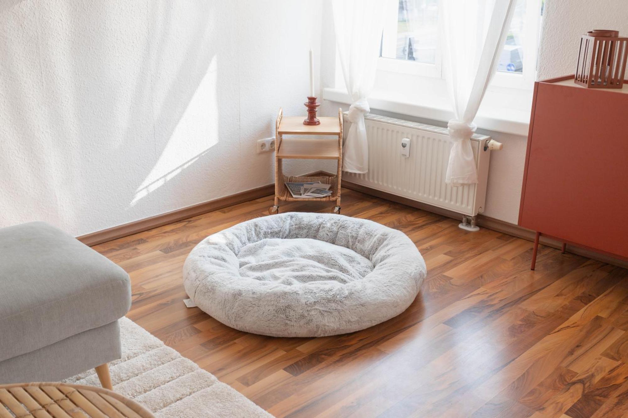 Wellness Lounge Am Bauhausmuseum Apartment Dessau-Rosslau Bagian luar foto